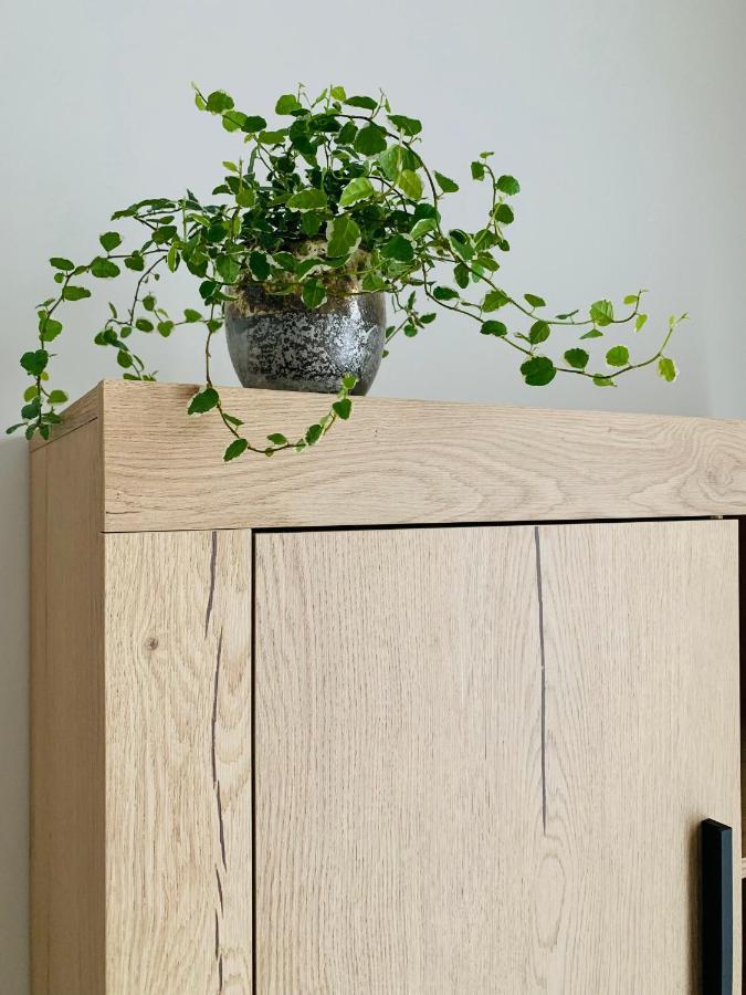Apartmán Ca La Rosalia Arbeca Exteriér fotografie